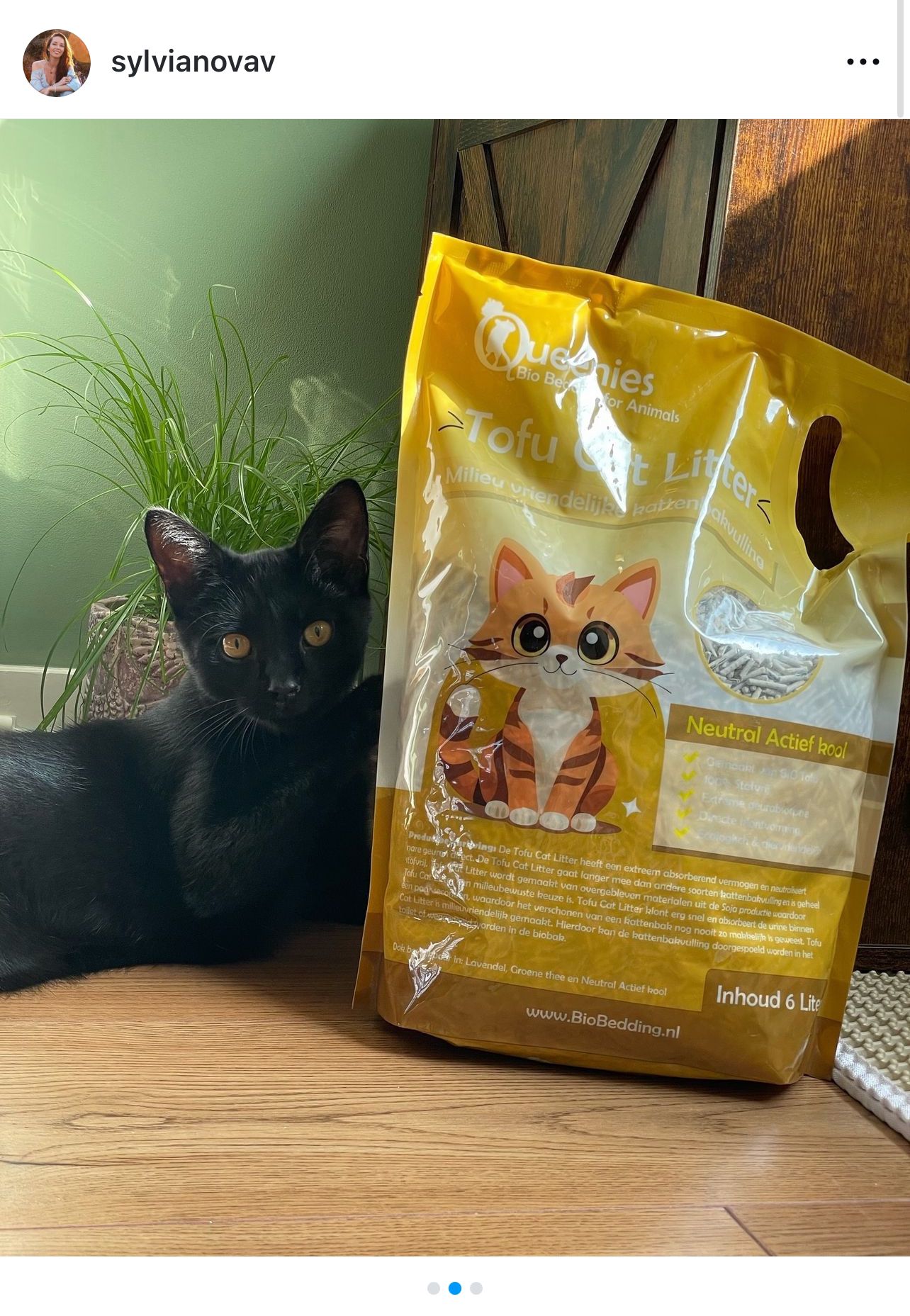 Kattengrind gemaakt van Tofu
